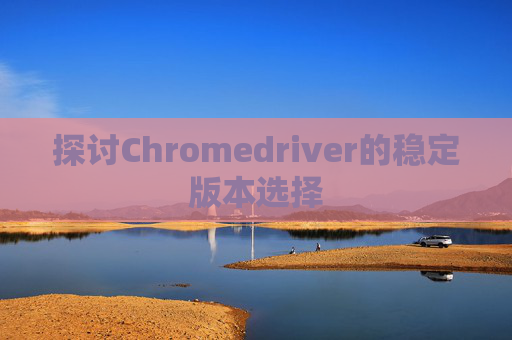 探讨Chromedriver的稳定版本选择